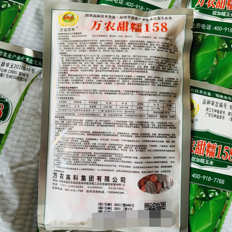 万农甜糯白甜加糯玉米种子矮杆特糯甜鲜食玉米种子特大棒