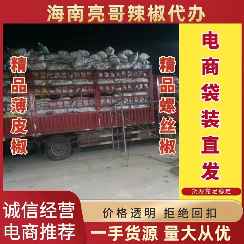 海南精品螺丝椒货源充足质量保障电商直发诚信经营！