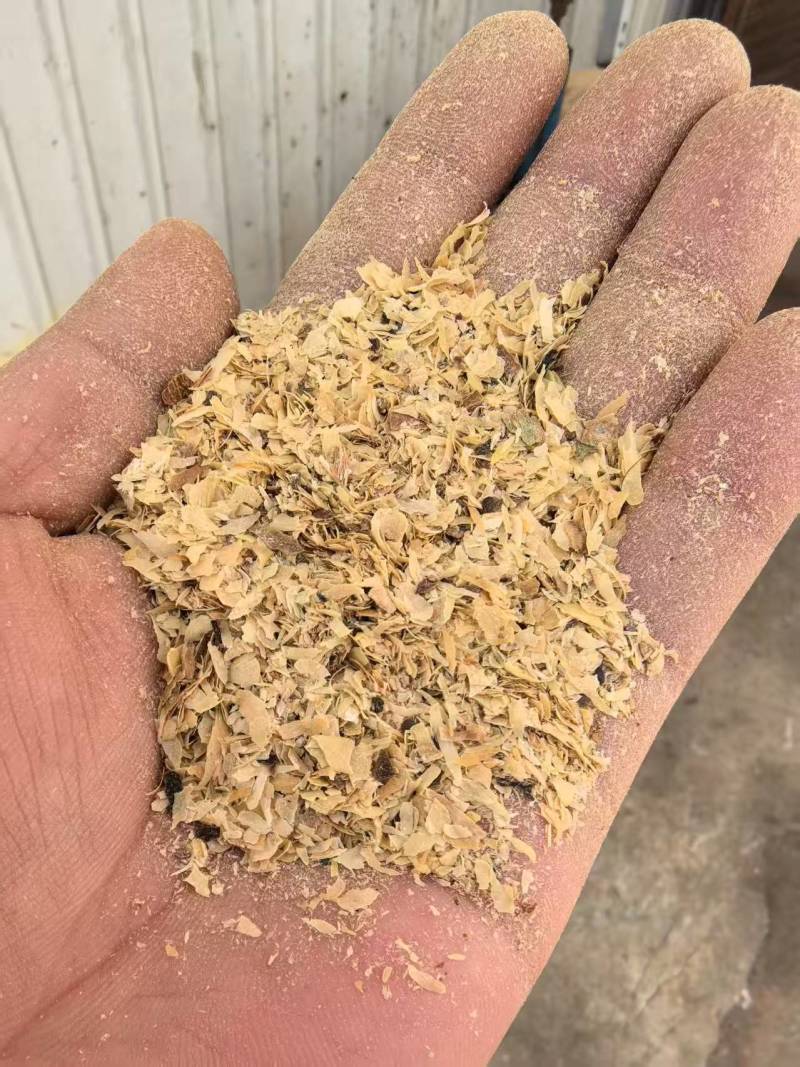 精品大豆皮质量保证价格合理，对接全国