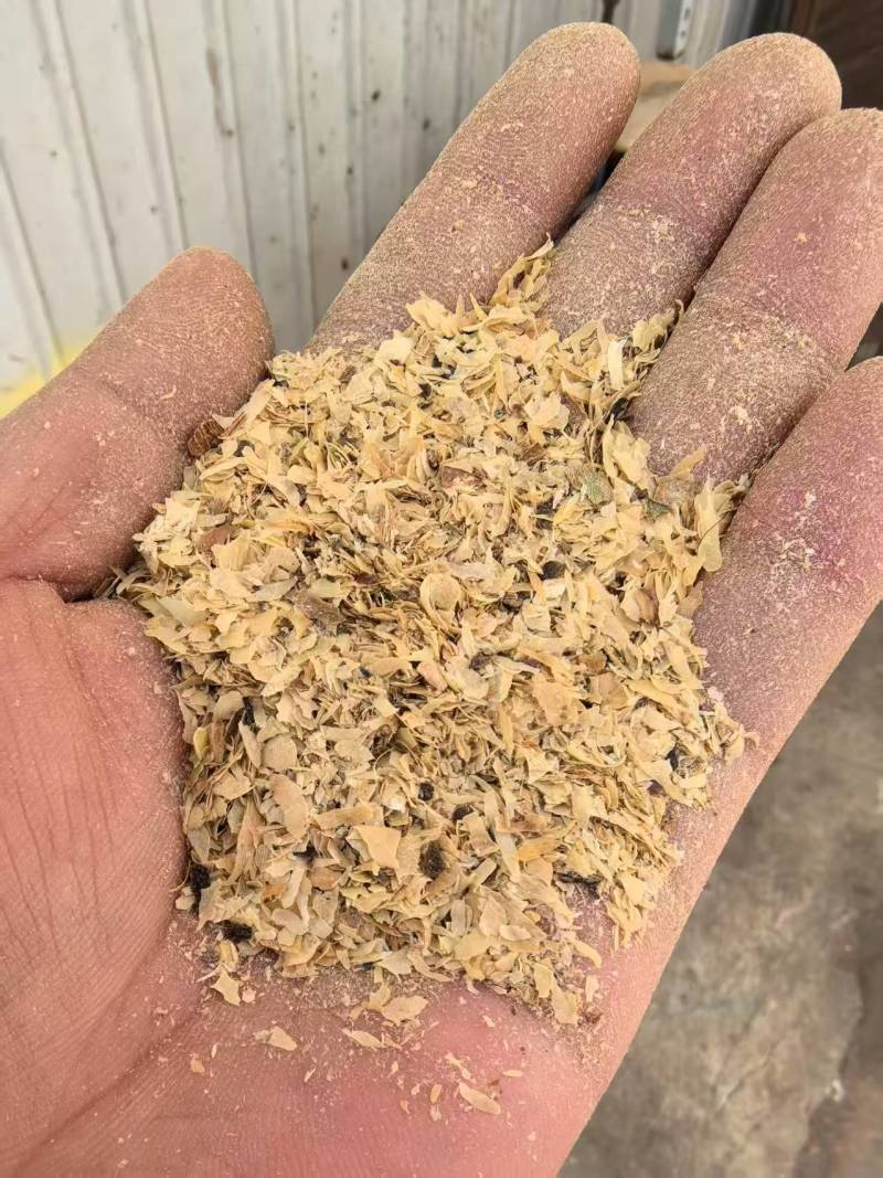 精品大豆皮质量保证价格合理，对接全国