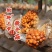 新鲜滑子菇千亩种植质量上乘