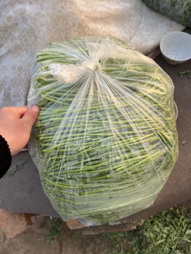 青芦蒿毛芦蒿藜蒿泥嚎泥蒿**上市