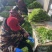 青芦蒿毛芦蒿藜蒿泥嚎泥蒿**上市
