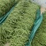 白芸豆白不老精品通货电商赶集大量供应欢迎来电