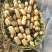 安徽阜阳阜南县精品莲藕一手货源。质量好，品质好。货源充足