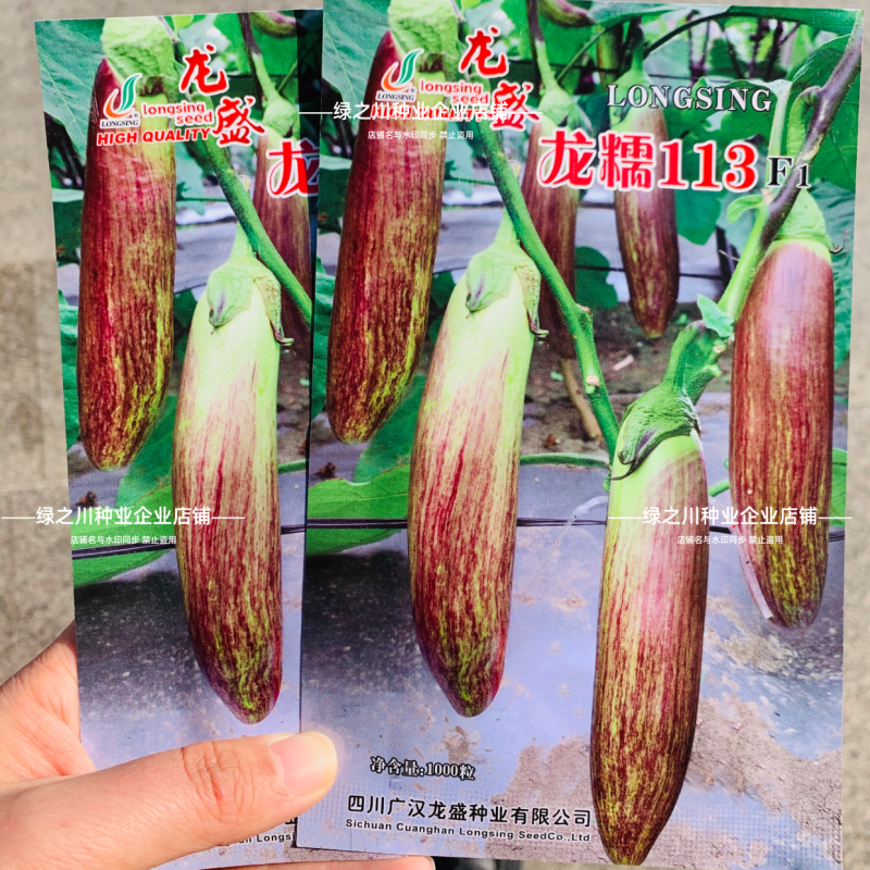 龙糯113竹丝茄种子面包茄子种籽软糯东北花茄种子抗病春秋