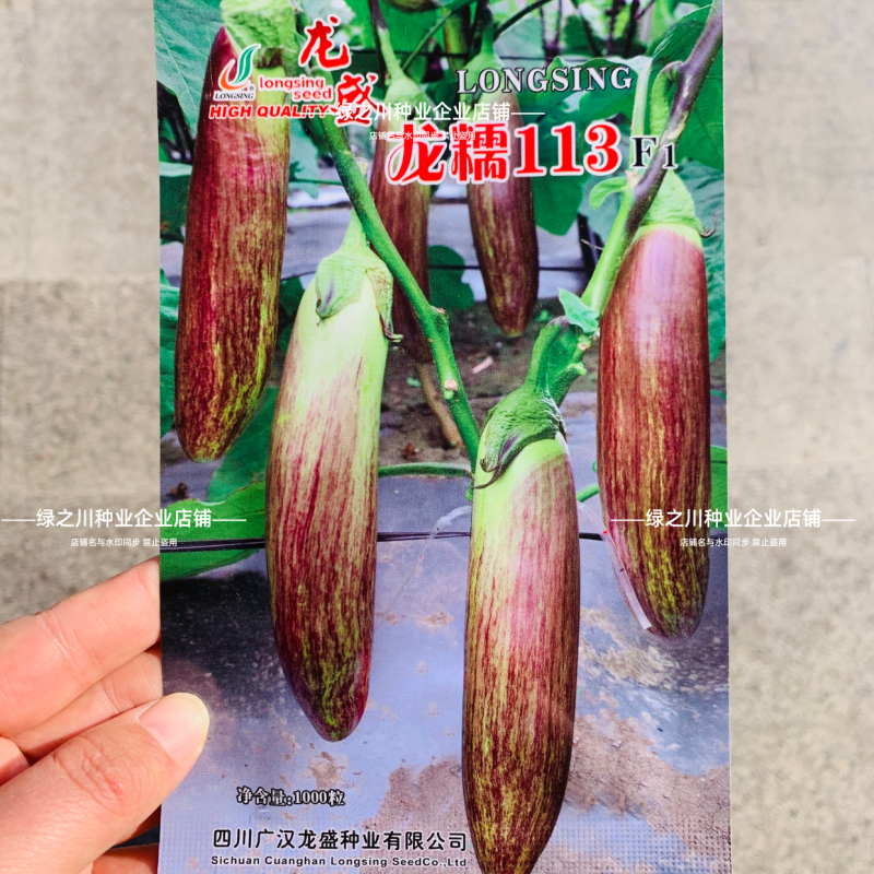 龙糯113竹丝茄种子面包茄子种籽软糯东北花茄种子抗病春秋