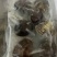 花蛤，花甲，沙蚬子，蚬子，东港花蛤东港花蛤