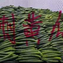 青黄瓜