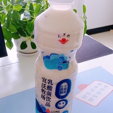 太子奶乳酸菌，工厂直发，现货批发，欢迎来电咨询