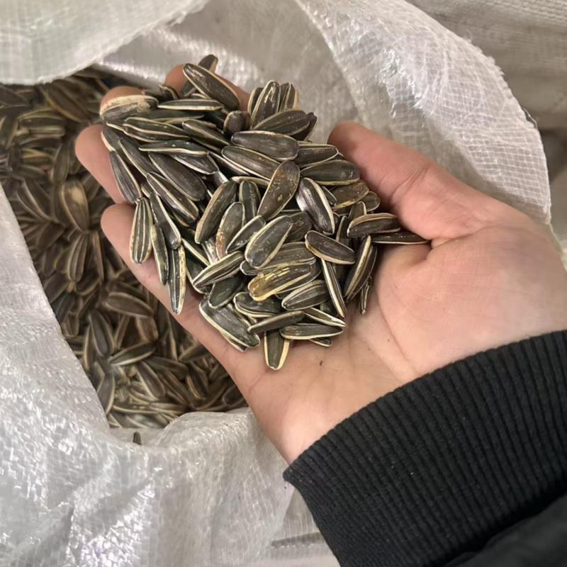 [工厂直发]瓜子炒货电商货批发市场货源稳量大从优