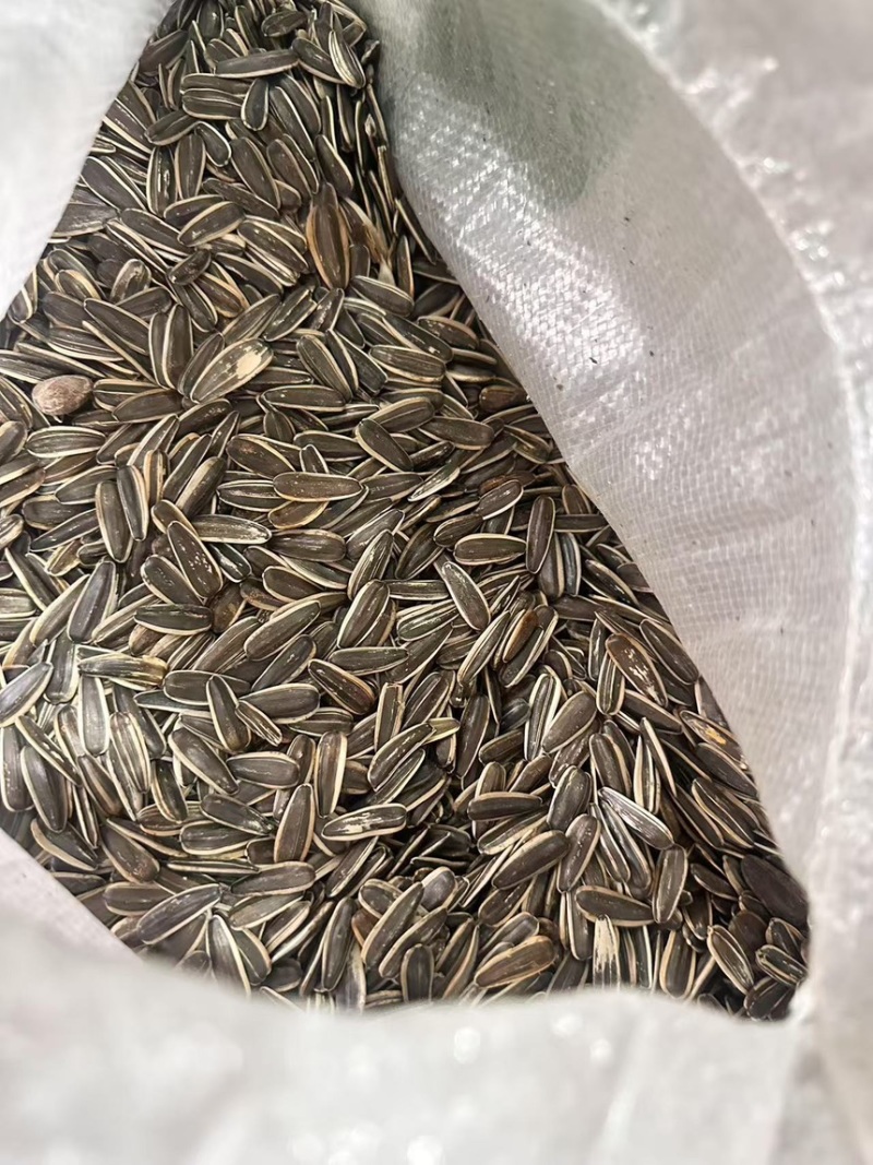 [工厂直发]瓜子炒货电商货批发市场货源稳量大从优