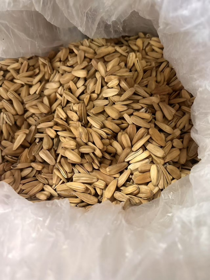 [工厂直发]瓜子炒货电商货批发市场货源稳量大从优