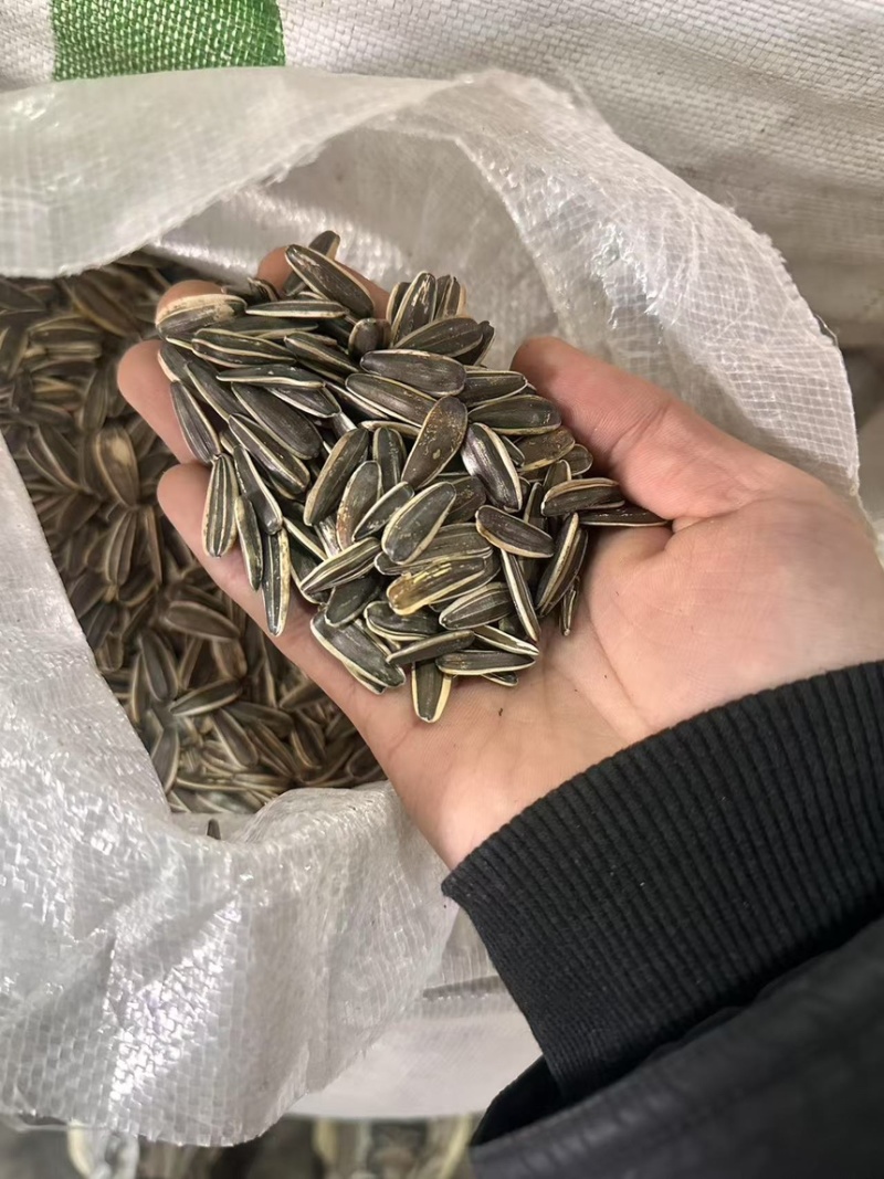 [工厂直发]瓜子炒货电商货批发市场货源稳量大从优