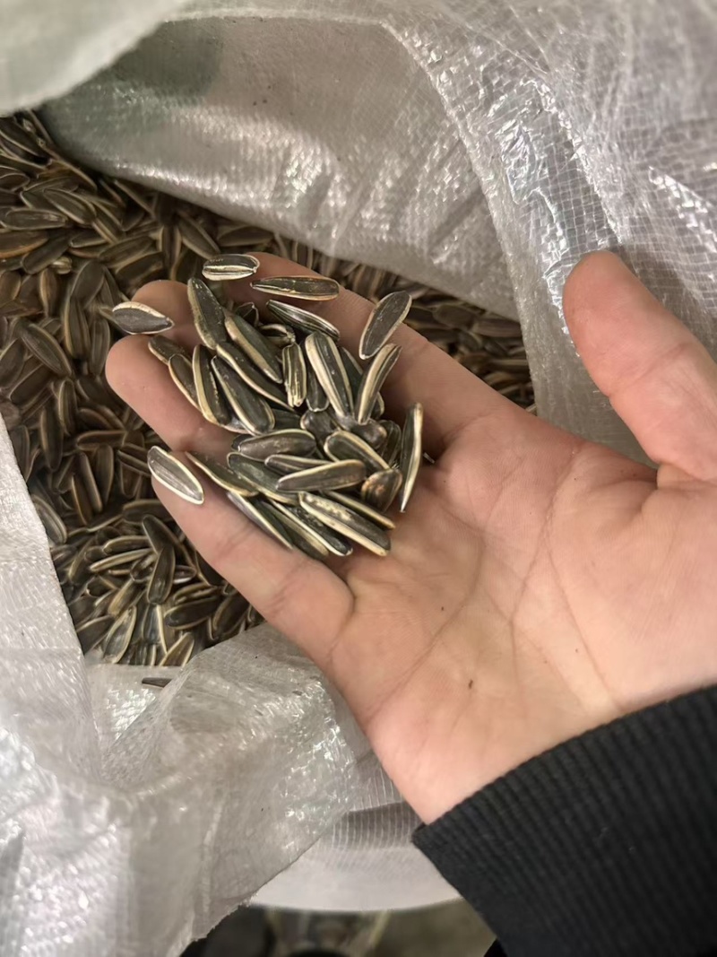 [工厂直发]瓜子炒货电商货批发市场货源稳量大从优