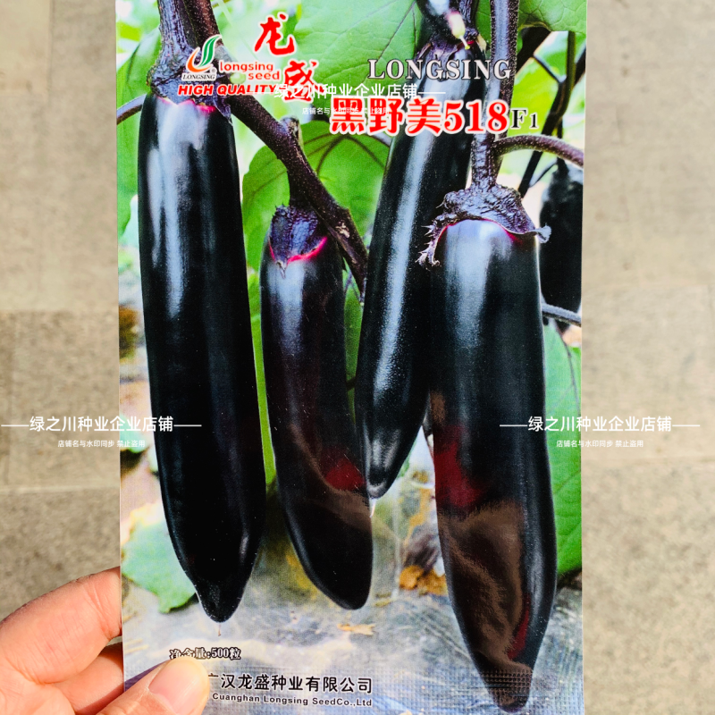 龙盛黑长茄种子高产黑又亮长茄种籽淡绿肉黑油亮长茄子种子
