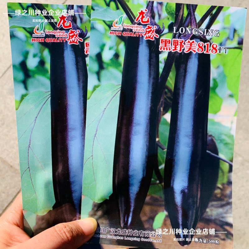 黑野美818茄子种子早熟油黑黑棒茄种子绿肉黑长茄种子春秋