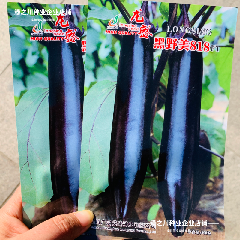 黑野美818茄子种子早熟油黑黑棒茄种子绿肉黑长茄种子春秋