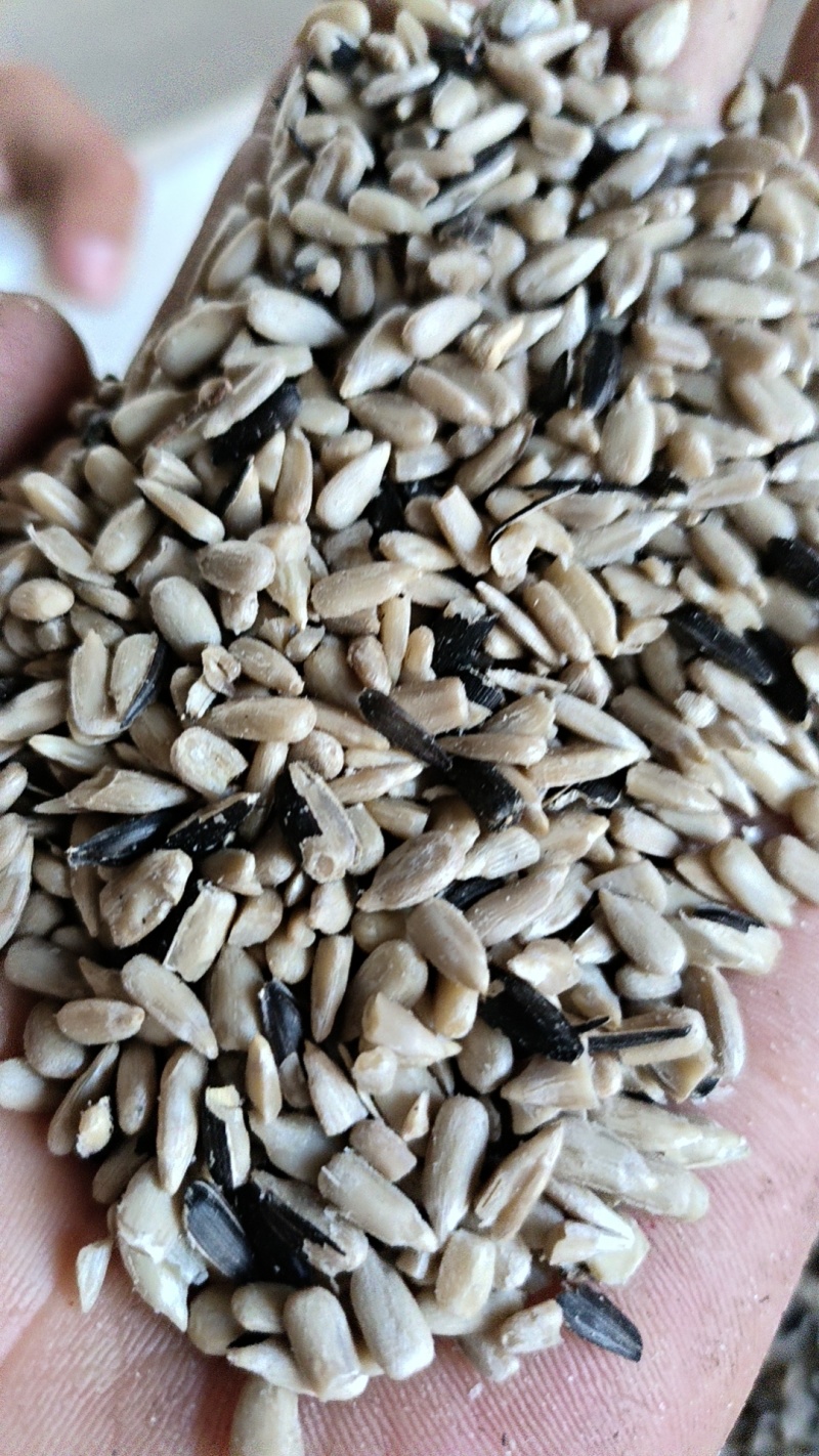 油菜籽