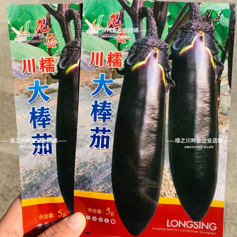 龙盛川大棒茄种子中熟烧烤茄种子长势旺果实粗棒顺直紫黑茄子
