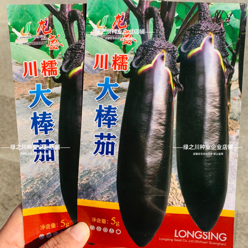 龙盛川大棒茄种子中熟烧烤茄种子长势旺果实粗棒顺直紫黑茄子