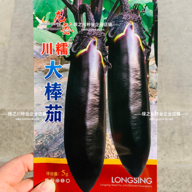 龙盛川大棒茄种子中熟烧烤茄种子长势旺果实粗棒顺直紫黑茄子