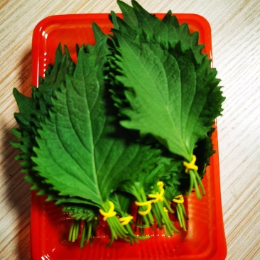 随时可聊大叶，日苏紫苏叶货源广泛全国各地随叫随到