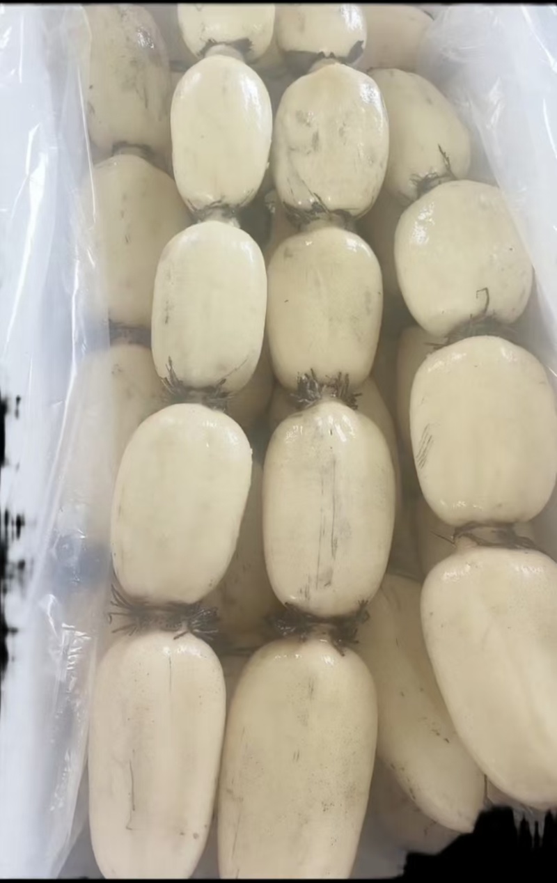 精品莲藕