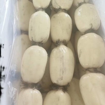 精品莲藕