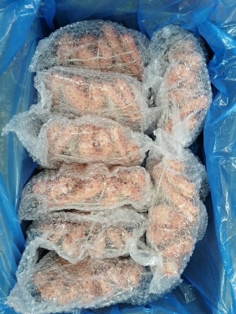 智利熟冻帝王蟹，新货日期，饱满度高价格超低