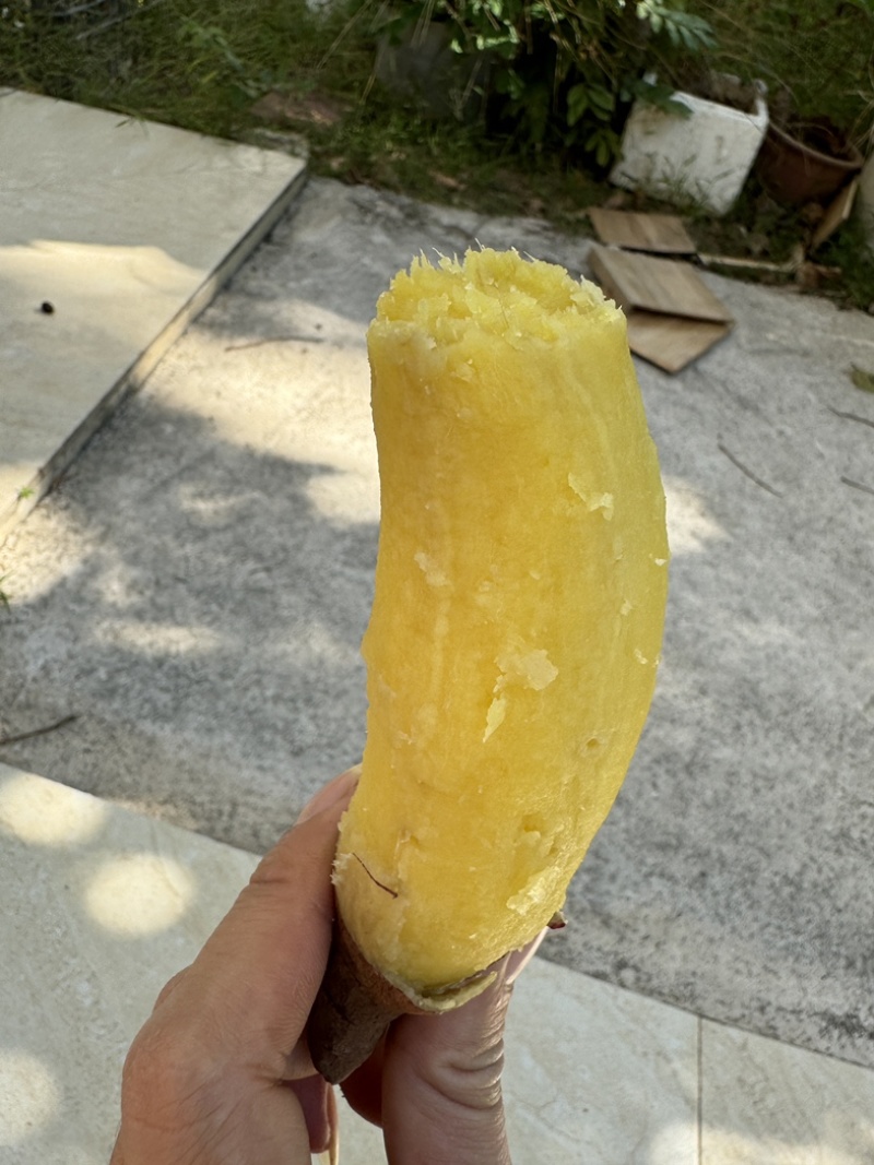 软糯香甜，正宗榴莲蜜薯，