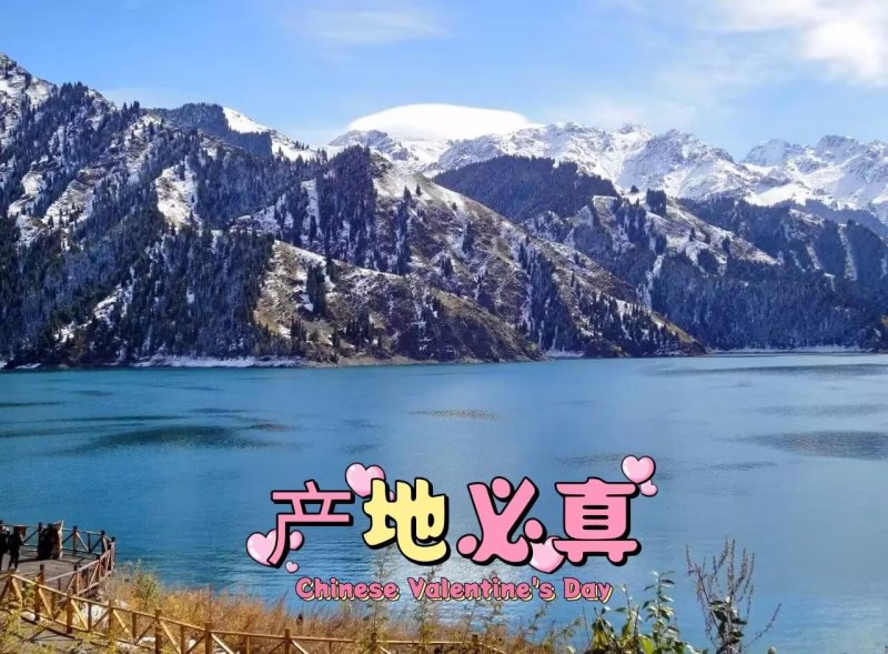【推荐】新疆若羌灰枣一手货源供应市场商超电商量大价优
