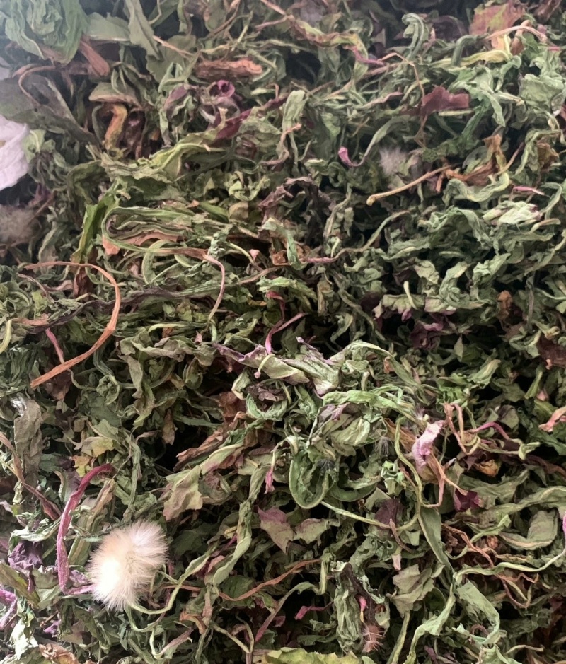 野蒲公英，全草干货，量大价格优惠，可长期供货，欢迎咨询！