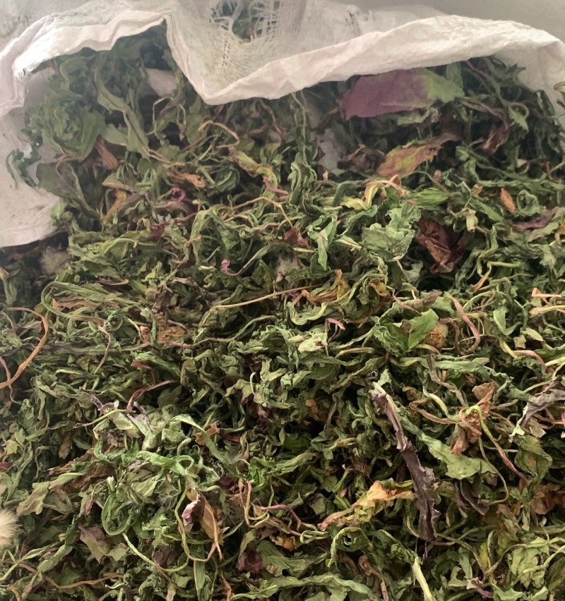 野蒲公英，全草干货，量大价格优惠，可长期供货，欢迎咨询！
