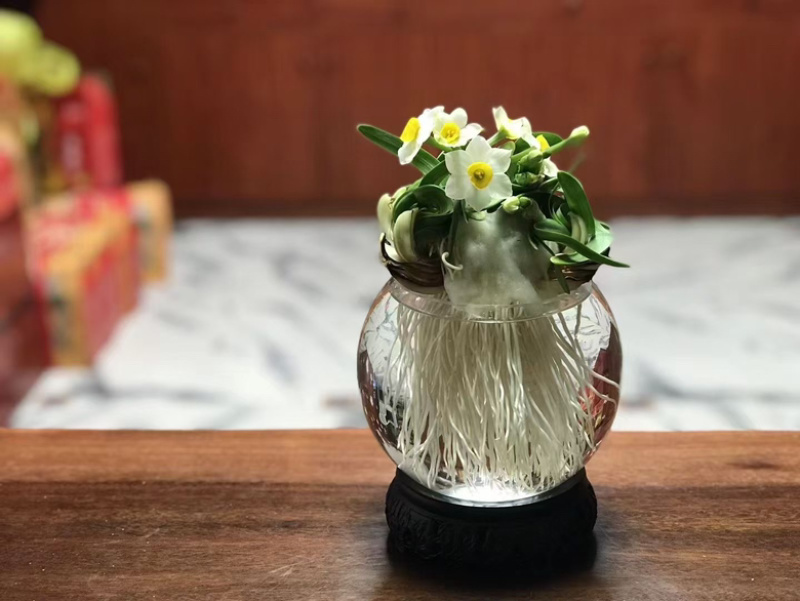 漳州水仙花，基地直供，品相好，量大质优，欢迎联系。