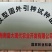 正宗琼中槟榔苗，省示范苗圃品牌保证