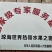 正宗琼中槟榔苗，省示范苗圃品牌保证