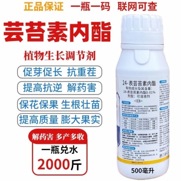 24-表芸苔素内脂生长调节剂调节作物生长证件齐全