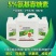 5%氨基寡糖素抑制病毒病瓦瓦叶促进根系发育缓苗快