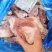猪后腿骨
