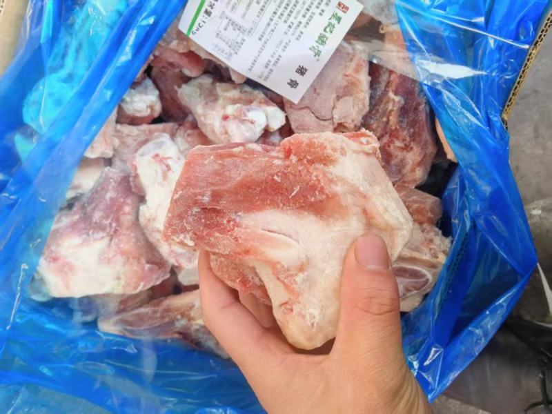 猪后腿骨