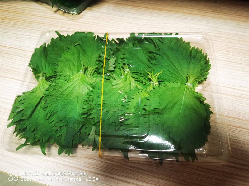 随时可聊大叶，日苏紫苏叶货源广泛全国各地随叫随到