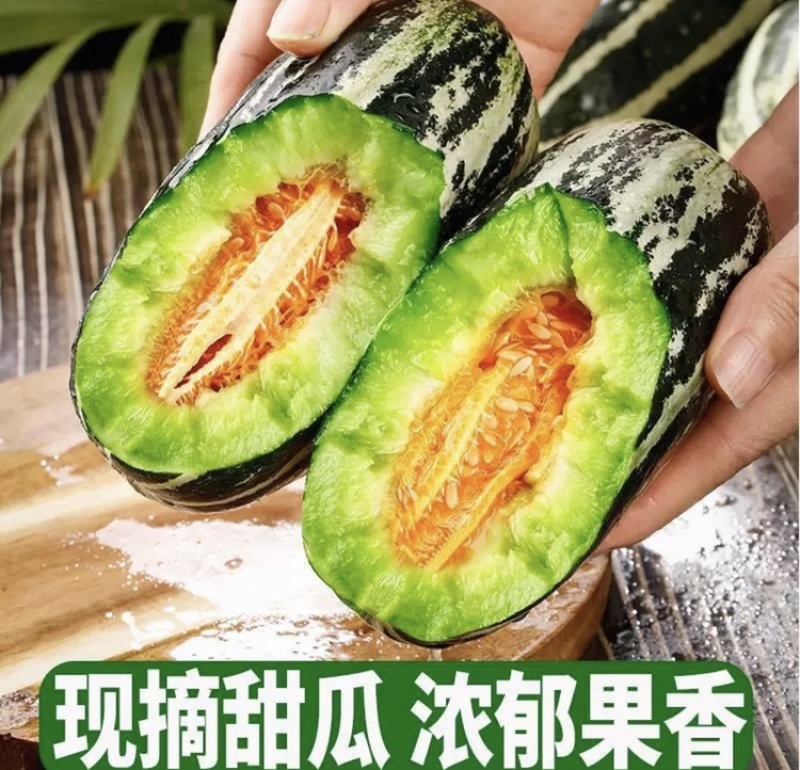 山东博洋甜瓜产地直发甜度高一手货源保质保量全国供应