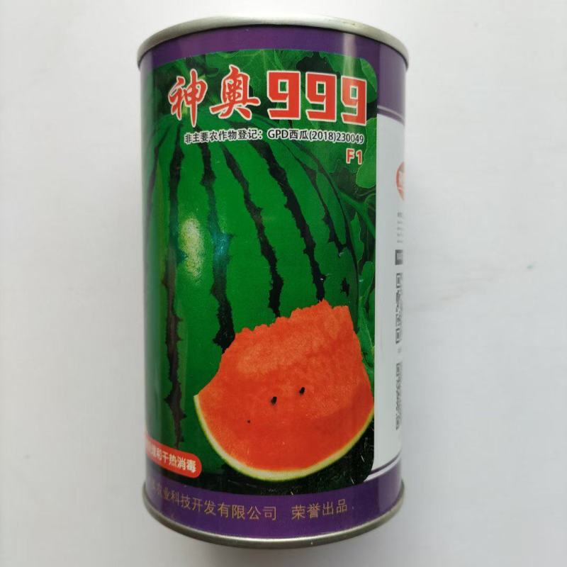 神奥999西瓜种子，大果地雷瓜品种红瓤花皮，种子