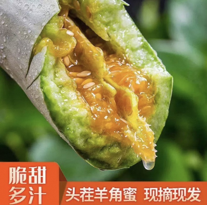 寿光羊角蜜甜瓜原产地直发商超品质一手货源保质质量