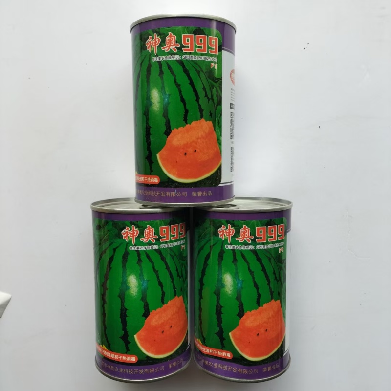 神奥999西瓜种子，大果地雷瓜品种红瓤花皮，种子