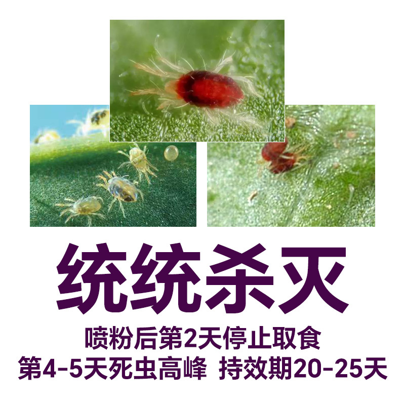 普乐富红白蜘蛛螨虫喷粉[省时省力不伤花果不伤蜂]