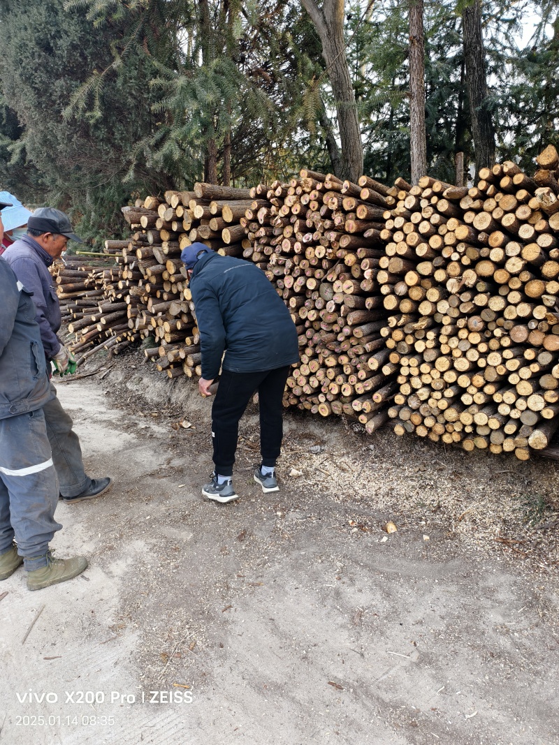 杉木杆，安徽产地直发，各种规格，欢迊订制！量大优惠！