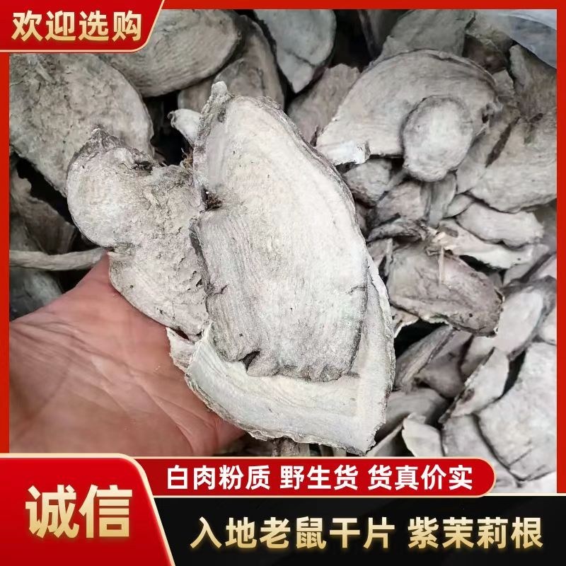 广东入地老鼠干货入地老鼠干货紫茉莉根干货