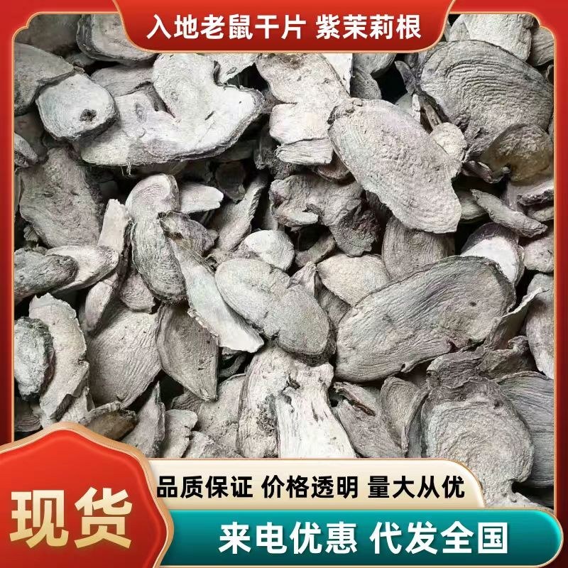广东入地老鼠干货入地老鼠干货紫茉莉根干货